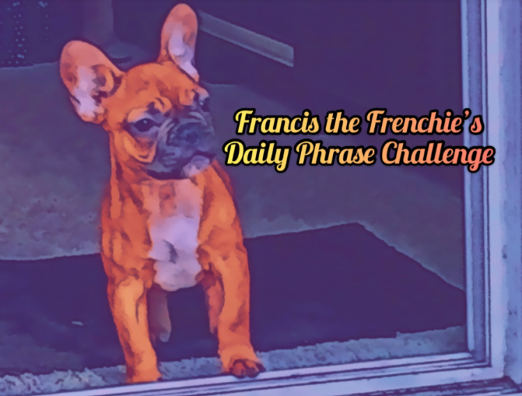Francis the Frenchie’s Daily Phrase Challenge—May 15, 2022